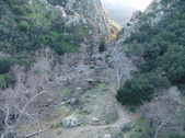 Enlarge photo 272