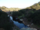 Enlarge photo 273