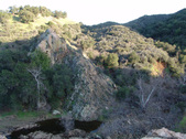Enlarge photo 274