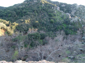 Enlarge photo 275