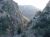 Enlarge photo 277