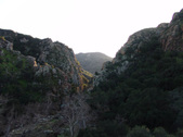 Enlarge photo 281