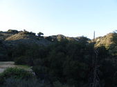 Enlarge photo 283