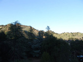 Enlarge photo 284