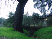 Enlarge photo 285