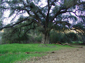 Enlarge photo 286