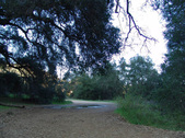 Enlarge photo 287