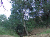 Enlarge photo 288