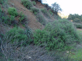 Enlarge photo 289