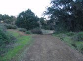 Enlarge photo 290