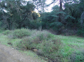 Enlarge photo 291