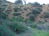 Enlarge photo 293