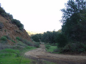 Enlarge photo 294