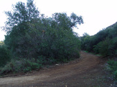 Enlarge photo 295