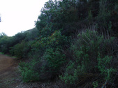 Enlarge photo 296