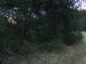 Enlarge photo 297