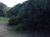Enlarge photo 300