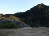 Enlarge photo 301