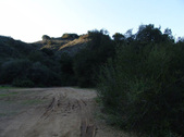 Enlarge photo 304