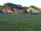 Enlarge photo 317