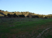 Enlarge photo 318