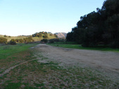 Enlarge photo 319