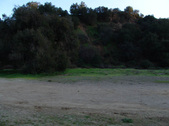Enlarge photo 320