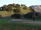 Enlarge photo 321