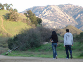 Enlarge photo 323