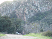 Enlarge photo 330