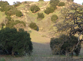Enlarge photo 331