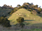 Enlarge photo 332