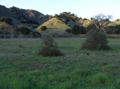 Enlarge photo 333