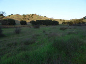 Enlarge photo 334