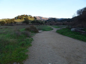 Enlarge photo 335