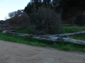 Enlarge photo 336