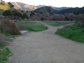 Enlarge photo 337