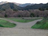 Enlarge photo 338