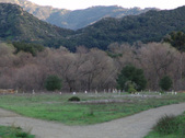 Enlarge photo 339