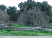 Enlarge photo 340