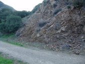 Enlarge photo 342