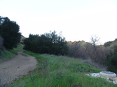 Enlarge photo 344
