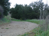 Enlarge photo 345