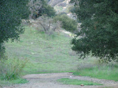 Enlarge photo 347