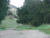 Enlarge photo 348