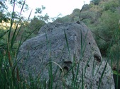 Enlarge photo 349