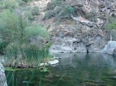 Enlarge photo 350
