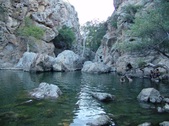 Enlarge photo 351