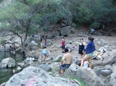 Enlarge photo 352