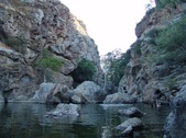 Enlarge photo 353